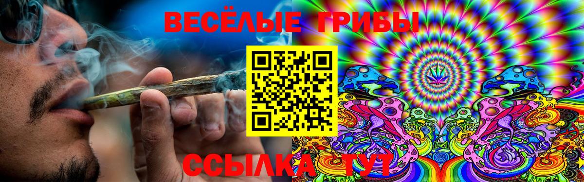 Казань  Псилоцибиновые грибы Psilocybine cubensis  Вход с VPN 