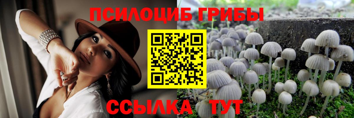 Псилоцибиновые грибы Magic Shrooms Казань